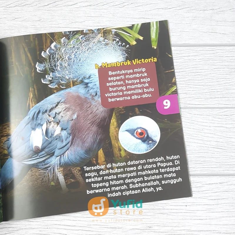Product image 6